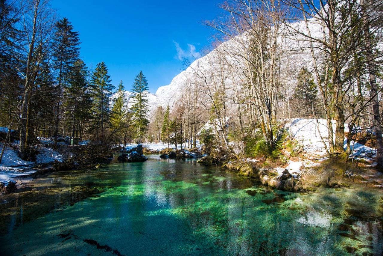 Zotlar House Hotel Bohinj Exterior photo